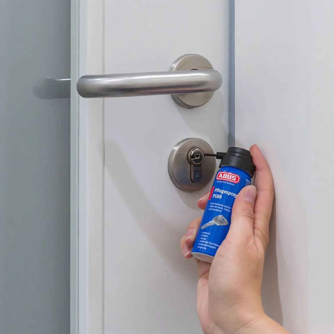 Abus Pflegespray PS88 SB 50 ml
