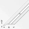 Alfer Flach-Abschlussprofil 30 x 5 mm 1m titan