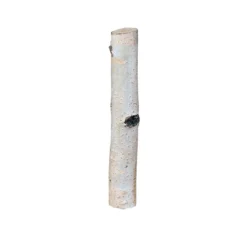 Birkensticks 20 cm Durchmesser 3-4 cm