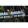 Bosch Professional Akku-Heckenschere GHE 18V-60 (II)
