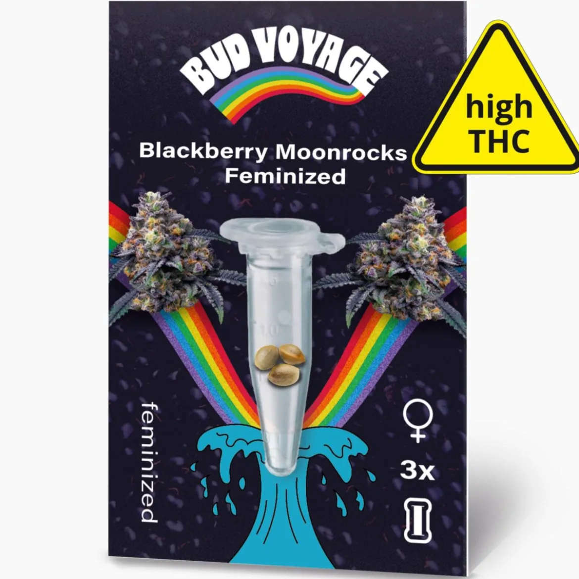 Bud Voyage Hanfsamen Blackberry Moonrocks Feminisiert