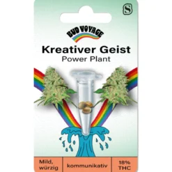 Bud Voyage Hanfsamen Kreativer Geist - Power Plant