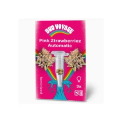 Bud Voyage Hanfsamen Pink Ztrawberriez Auto