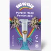 Bud Voyage Hanfsamen Purple Haze Feminisiert