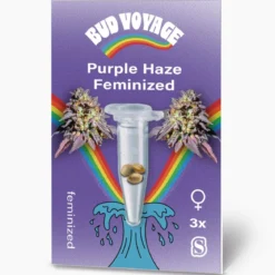 Bud Voyage Hanfsamen Purple Haze Feminisiert