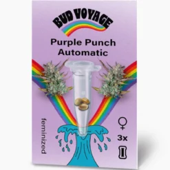 Bud Voyage Hanfsamen Purple Punch Auto