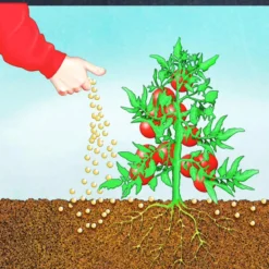 Compo BIO Tomaten Langzeit-Dünger mit Schafwolle 750 g