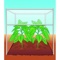 Compo BIO Tomaten- und Gemüseerde torffrei 40 L