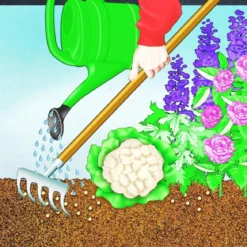 Compo BIO Universal Langzeit-Dünger mit Schafwolle 2 kg