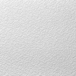 Deckenplatte AP 103 50x50 cm
