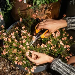 Fiskars Gartenschere Solid Micro-Tip SP130