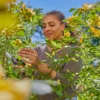 Gardena Gartenschere PremiumCut Flex