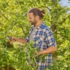 Gardena Gartenschere PremiumCut Pro Flex Bypass 24 mm