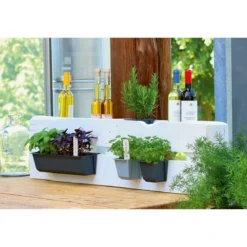 Geli Pflanzgefäß Easy 37 x 14 cm anthrazit