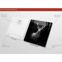 Glas-Art Grey Deer Head 20 x 20 Glasbild