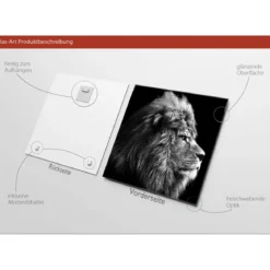 Glas-Art Grey Lion Head 20 x 20 Glasbild