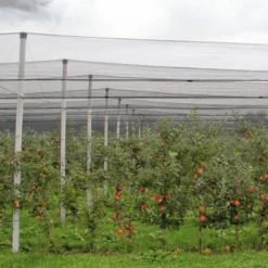 Hagelschutz-Netz 5x2m gruenMaschenweite 8mm