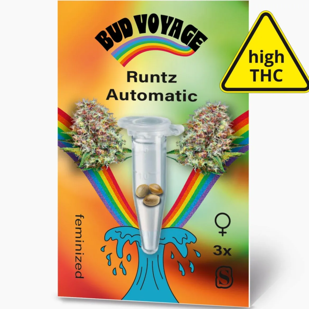 Hanfsamen BudVoyage Runtz Auto, 3 Samen