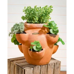 Haveson Erdbeer- und Kräutertopf Giardino