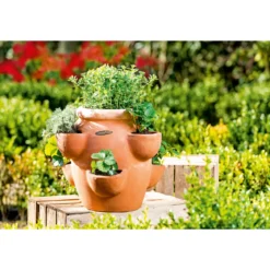 Haveson Erdbeer- und Kräutertopf Giardino