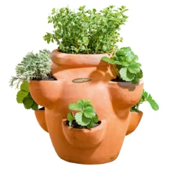 Haveson Erdbeer- und Kräutertopf Giardino