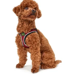 Hunter Hundegeschirr Hilo Comfort rot Größe S-M