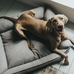 Hunter Hundesofa Prag grau 90 x 70 cm