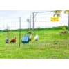 Kerbl Geflügelnetz-Set 50 m