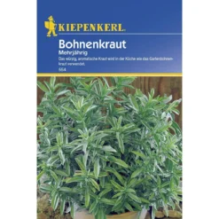 Kiepenkerl Bohnenkraut mehrjährig
