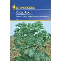 Kiepenkerl Futterkohl Westfälischer Furchenkohl