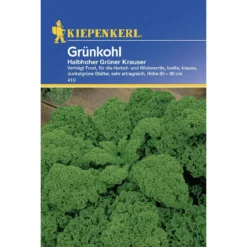 Kiepenkerl Grünkohl Halbhoher grüner krauser