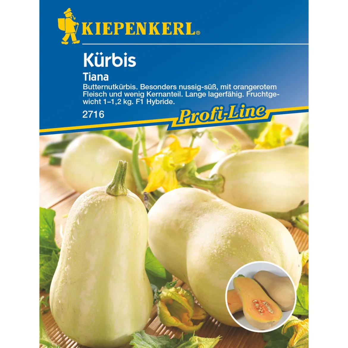 Kiepenkerl Kürbis Tiana