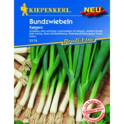 Kiepenkerl Lauchzwiebel Kaigaro