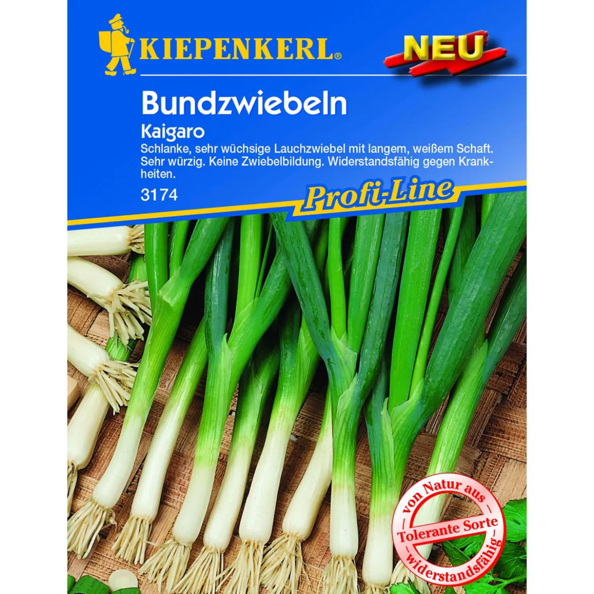 Kiepenkerl Lauchzwiebel Kaigaro
