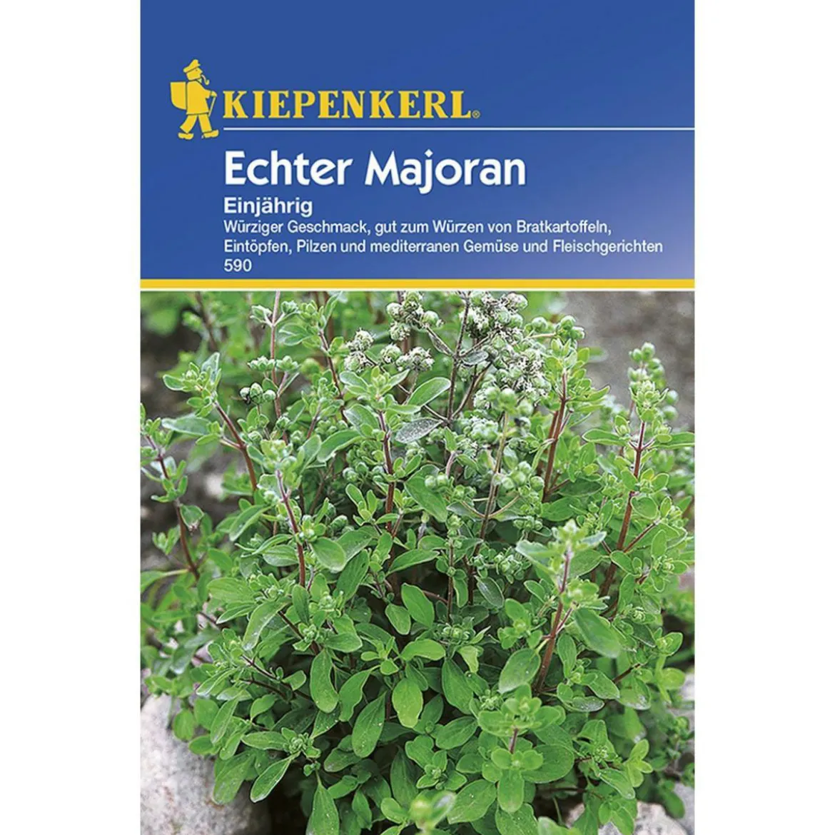Kiepenkerl Majoran einjährig
