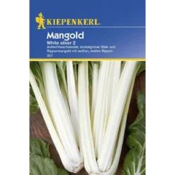 Kiepenkerl Mangold White Silver 2