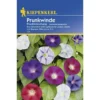 Kiepenkerl Prunkwinde Prachtmischung