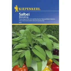 Kiepenkerl Salbei mehrjährig