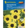 Kiepenkerl Sonnenblume Soluna Lemon