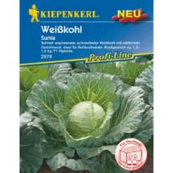 Kiepenkerl Weißkohl Sunta