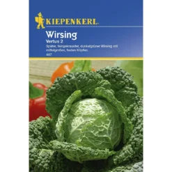 Kiepenkerl Wirsing Vertus 2