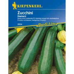 Kiepenkerl Zucchini Diamant