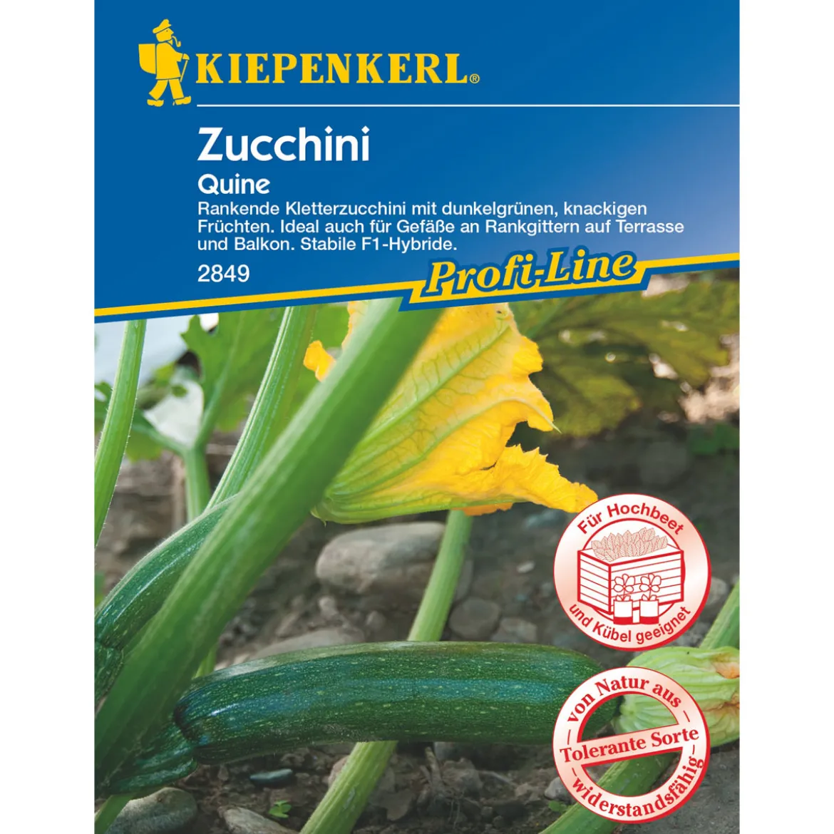 Kiepenkerl Zucchini Quine