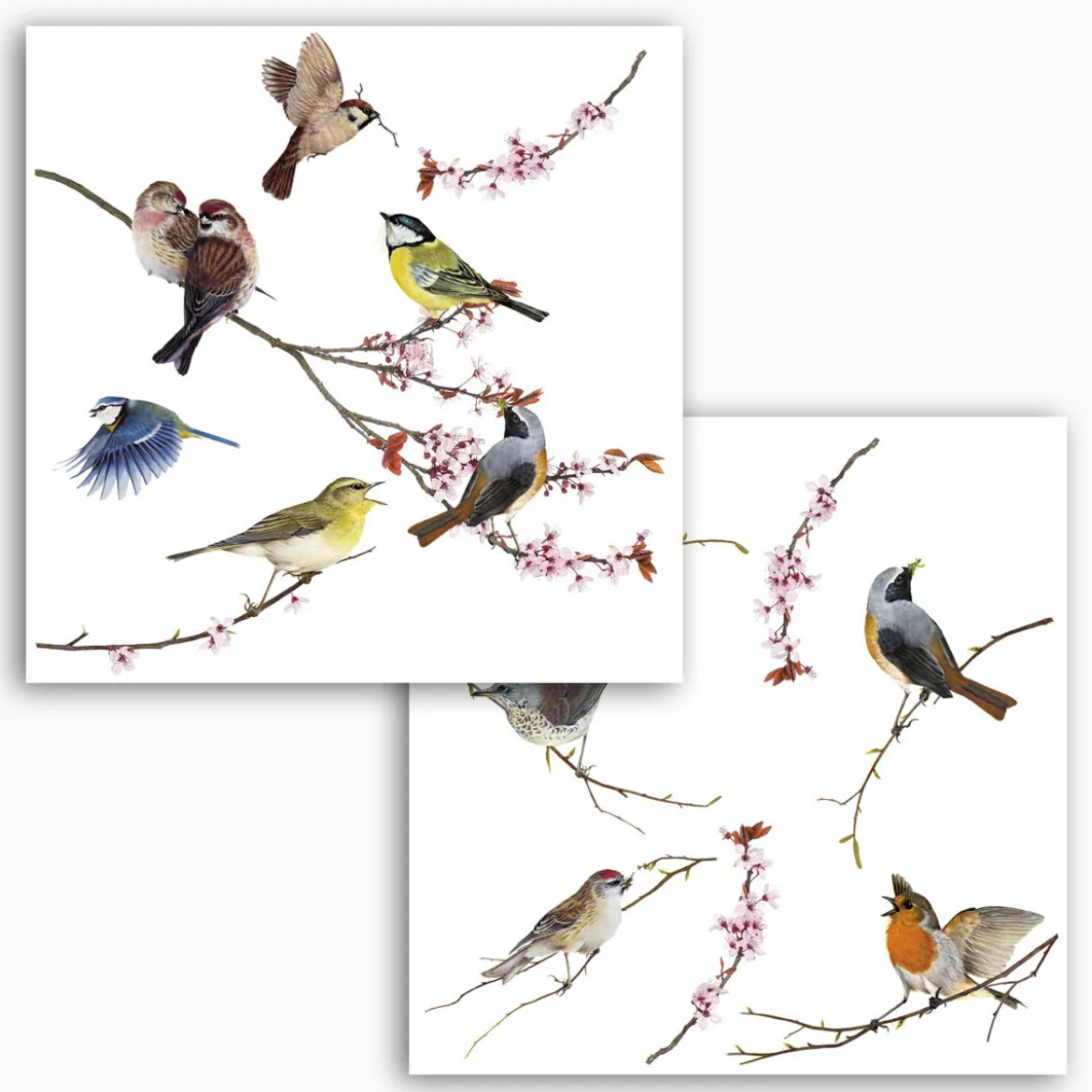 KomarFenstersticker Birds 31x31 cm