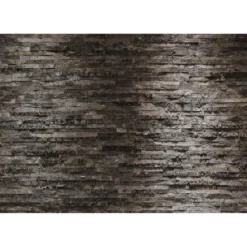 Komar Papier-Fototapete Birkenrinde 8-teilig 368 x 254 cm