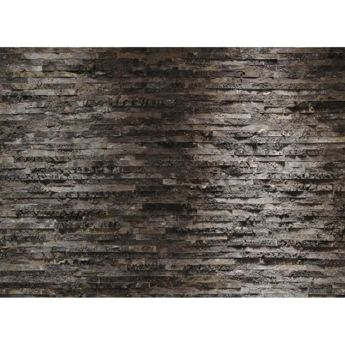 Komar Papier-Fototapete Birkenrinde 8-teilig 368 x 254 cm