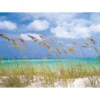 Komar Papier-Fototapete Ocean Breeze 8-teilig 368 x 254 cm