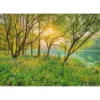 Komar Papier-Fototapete Spring Lake 8-teilig 368 x 254 cm