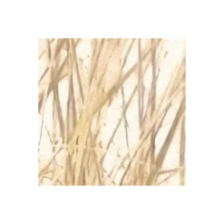 KomarVlies Fototapete Dune Grass 400x250 cm