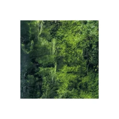 KomarVlies Fototapete Glenevin Falls 200x250 cm